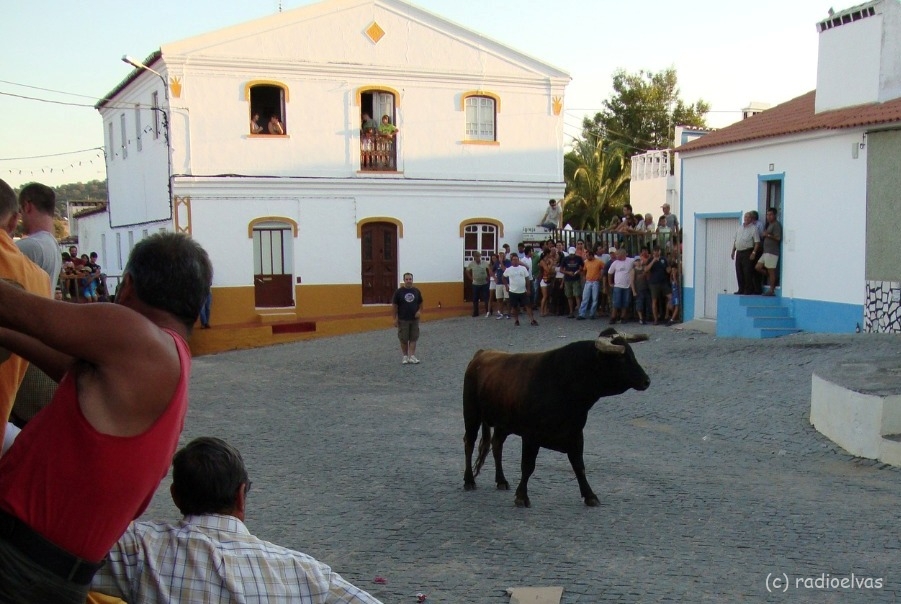 Festas De Santo Aleixo T M Largada E Vara Larga Esta Sexta Feira