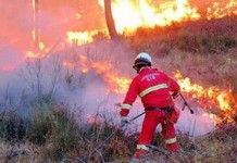 GNR já deteve 100 pessoas por crime de incêndio florestal