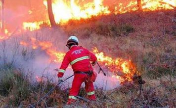 GNR já deteve 100 pessoas por crime de incêndio florestal