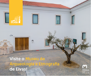 Novo Museu